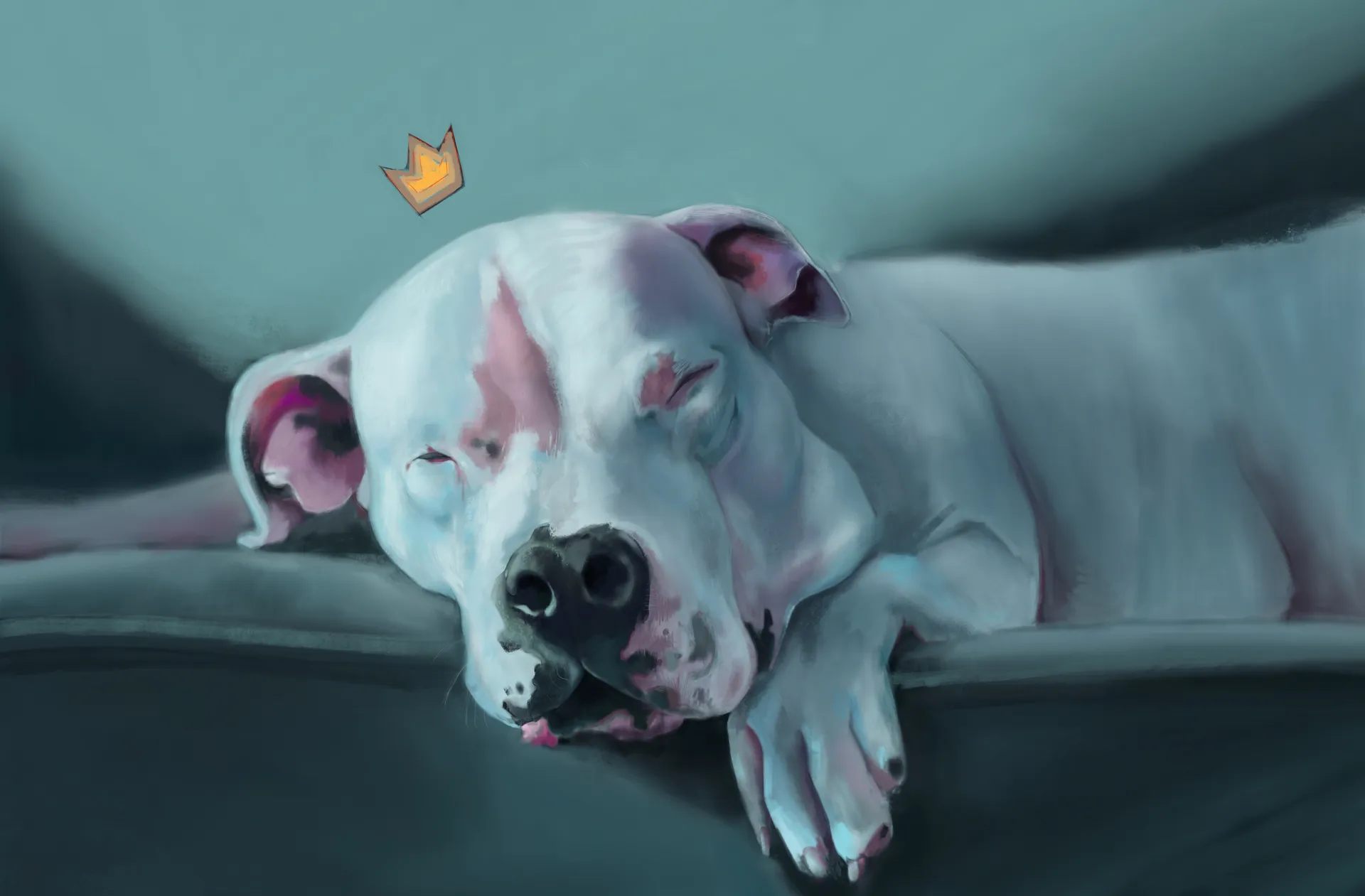 Encargos de retratos de mascotas