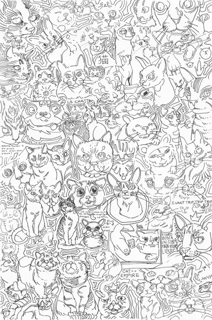 Gatos