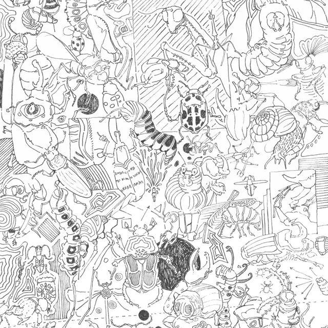 Insectos