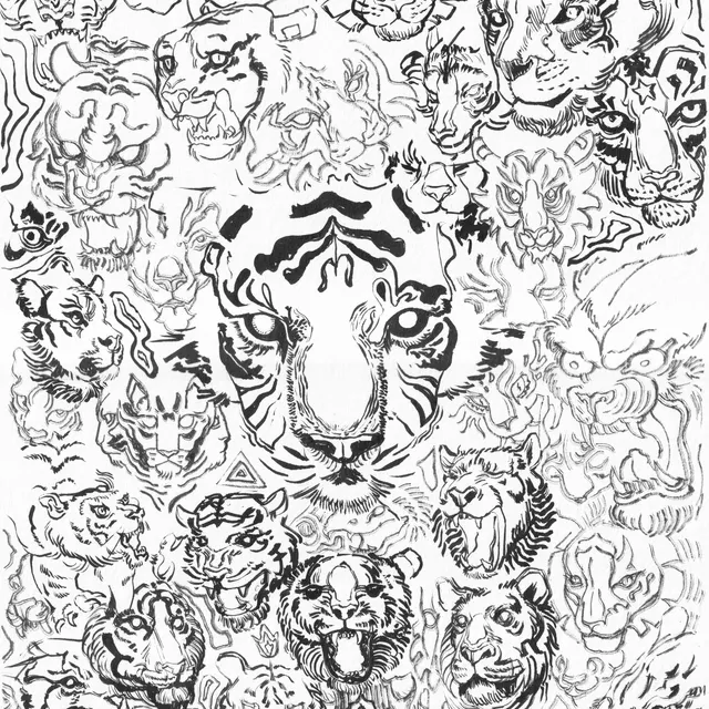 Tigre